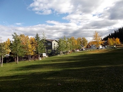 Cook Street Park Whitehorse Yukon landscaping northern parks