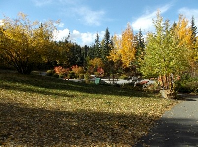 escarpment park landscaping north whitehorse yukon