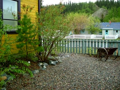 drought resistant planting northern landscaping native species