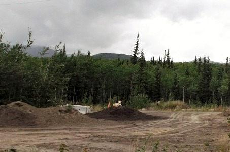 big dog northern dogs Yukon landscaping