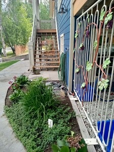 perennial bed flagstone walkway