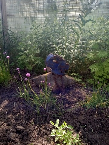 vise on rock in shrub bed against transparent fence